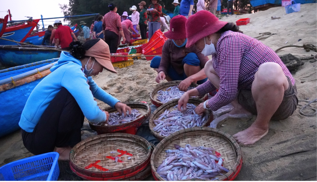 Những giỏ mực tươi rói, ánh bạc vừa chuyển lên bờ đã được tiểu thương mua.