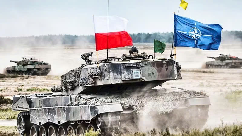 Cuộc tập trận Amber Shock 26 của NATO. Ảnh: GETTY IMAGES