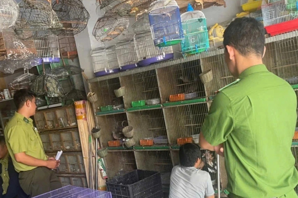 Công an tỉnh Quảng Ngãi phối hợp lực lượng kiểm lâm kiểm tra và phát hiện nhiều cơ sở nuôi nhốt động vật trái phép. Ảnh: Công an tỉnh Quảng Ngãi