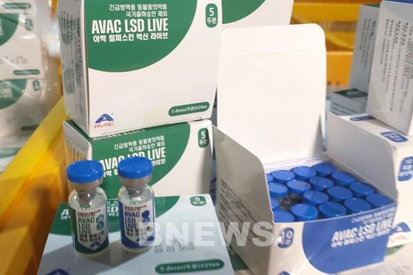 Vaccine AVAC LSD LIVE phòng bệnh viêm da nổi cục được xuất khẩu sang Hàn Quốc. Ảnh: Bnews