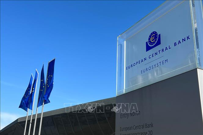 ecb,150725,1,15444612.jpg