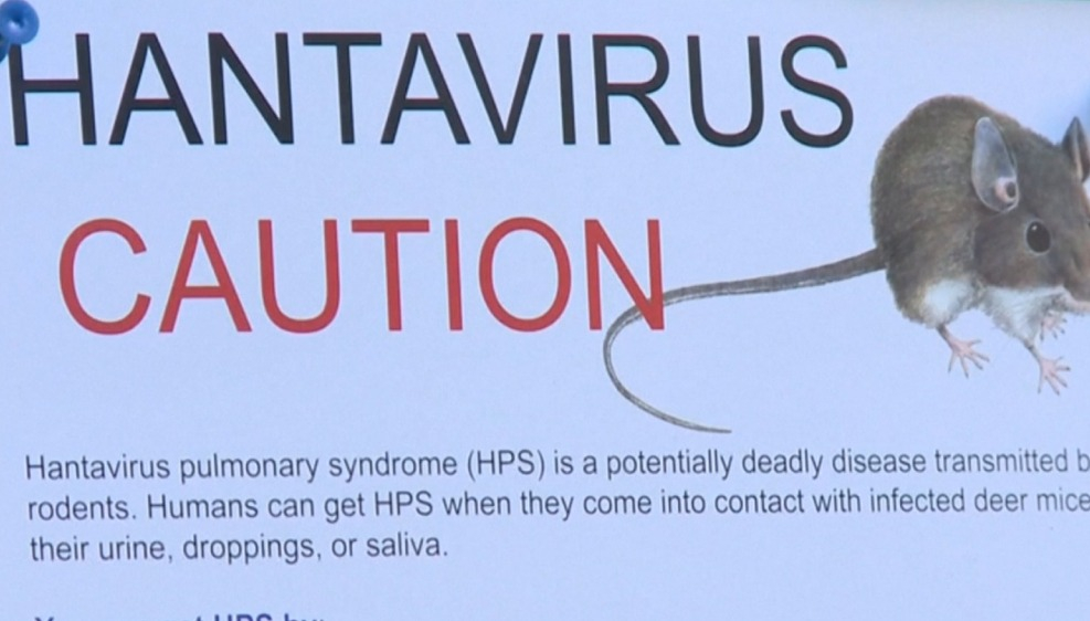 Thái Lan nâng mức cảnh virus Hanta.