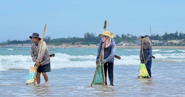 Nhiều người dân mang theo cào sắt, giỏ lưới lặng lẽ xuống bãi.