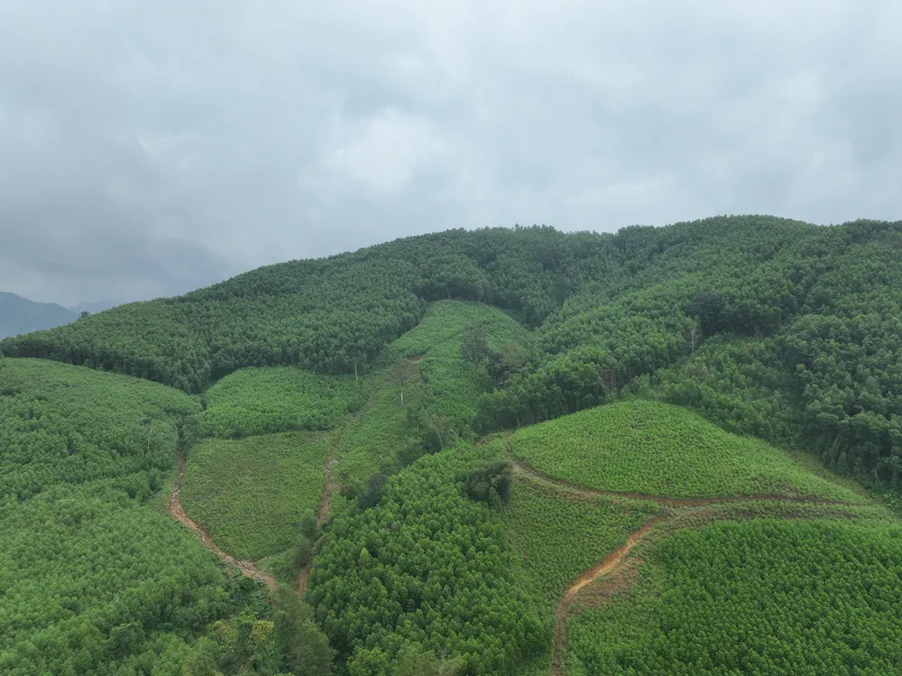 dji,0162,1,2220,6921,jpg,15442624.jpg