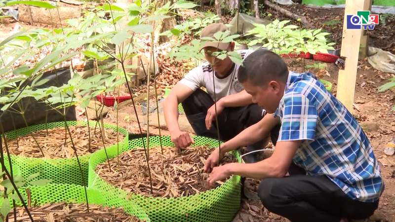 Đẩy mạnh ứng dụng khoa học c&ocirc;ng nghệ trong ng&agrave;nh n&ocirc;ng nghiệp