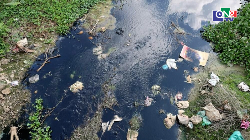 K&ecirc;nh thuỷ lợi d&agrave;i 5km ở Quảng Ng&atilde;i chuyển m&agrave;u đen
