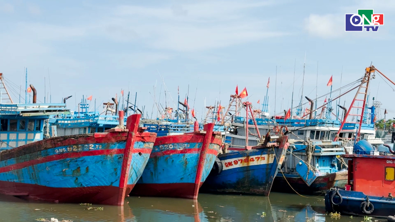 Kiện to&agrave;n Ban Chỉ đạo Quốc gia về chống khai th&aacute;c IUU 