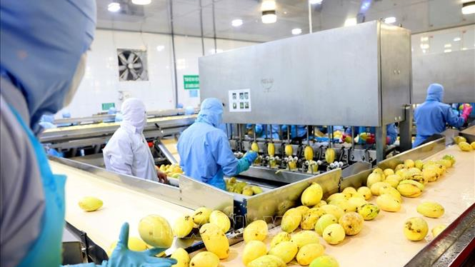 Ng&agrave;nh chế biến, chế tạo tiếp tục dẫn dắt tăng trưởng c&ocirc;ng nghiệp