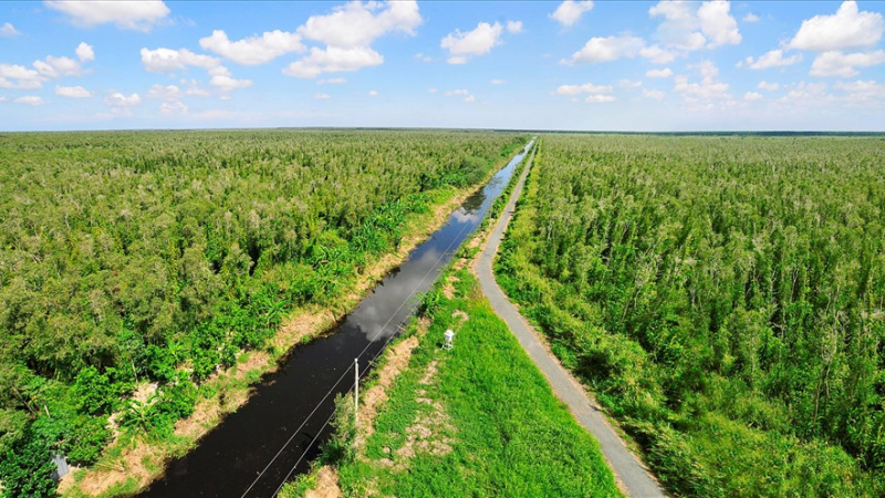 Việt Nam c&oacute; tiềm năng tạo ra h&agrave;ng trăm triệu t&iacute;n chỉ carbon