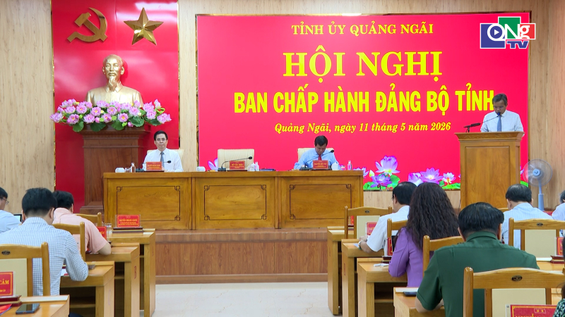 Khai mạc Hội nghị Ban Chấp h&agrave;nh Đảng bộ tỉnh