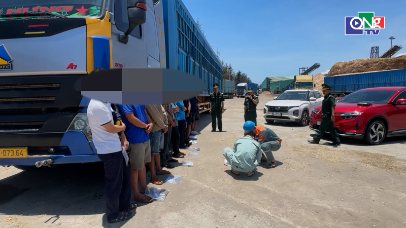 Bắt giữ nh&oacute;m người đ&aacute;nh bạc tr&ecirc;n xe tải