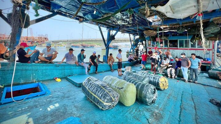 Ngư d&acirc;n Quảng Ng&atilde;i 'thắng lớn' nhờ mực x&agrave; chạm gi&aacute; kỷ lục