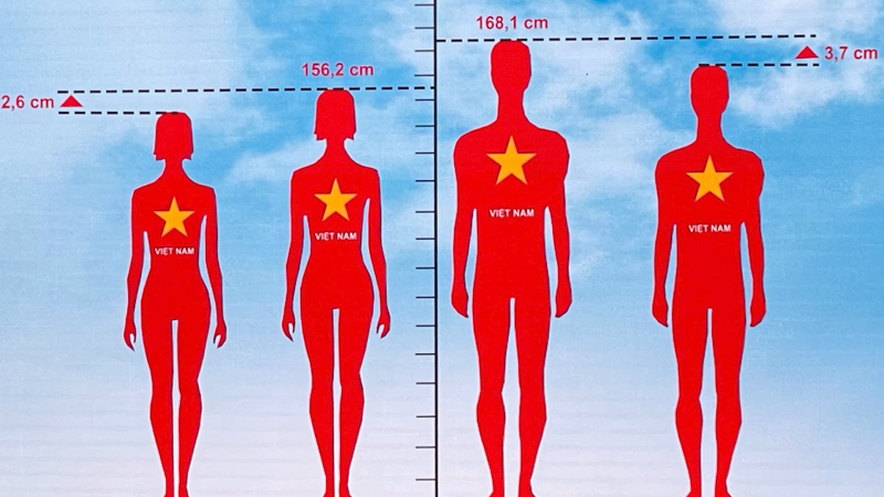 Chiều cao người Việt thuộc nh&oacute;m trung b&igrave;nh thấp nhất thế giới