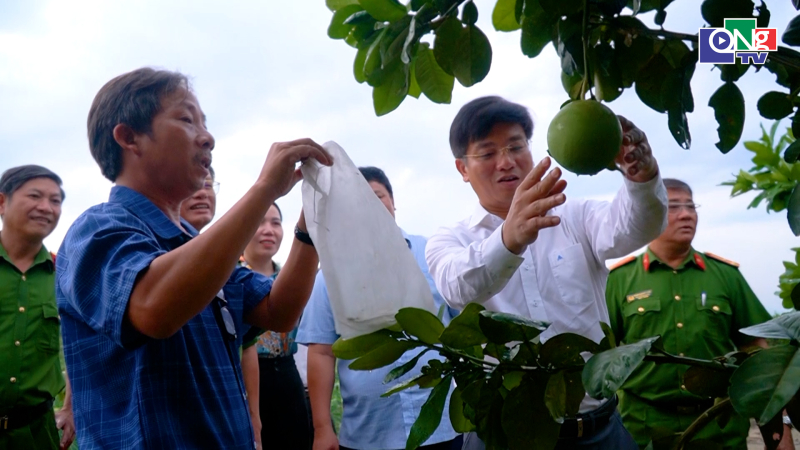 Mở hướng ph&aacute;t triển du lịch từ v&ugrave;ng c&acirc;y ăn quả
