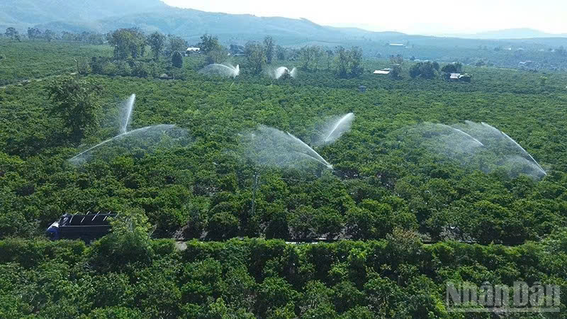 Chủ động chống hạn, bảo vệ sản xuất m&ugrave;a kh&ocirc; 