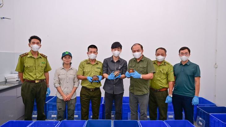Hồi hương 28 con r&ugrave;a qu&yacute; hiếm từ H&agrave;n Quốc 