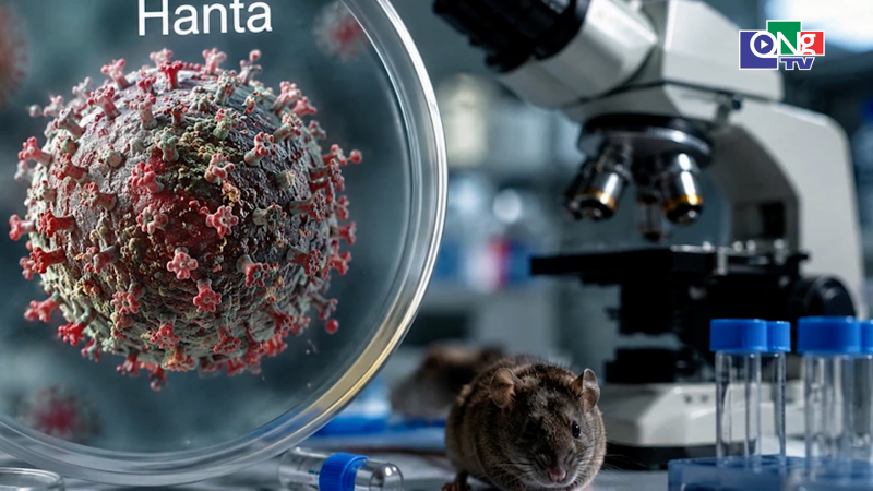 Bộ Y tế th&ocirc;ng tin về chủng virus Hanta