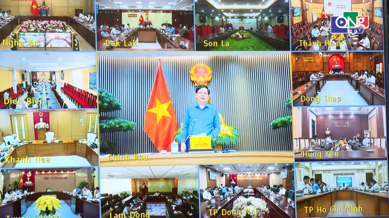Ho&agrave;n thiện m&atilde; số v&ugrave;ng trồng phục vụ xuất khẩu