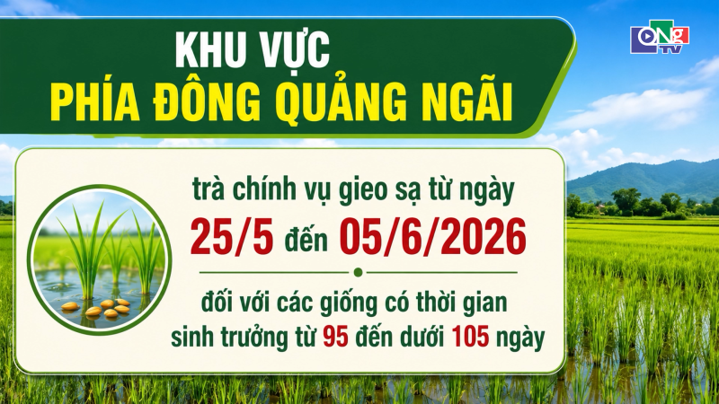 Lịch thời vụ, cơ cấu giống vụ H&egrave; Thu 2026