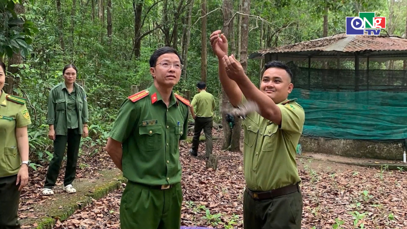 Quảng Ng&atilde;i t&aacute;i thả động vật hoang d&atilde; về m&ocirc;i trường tự nhi&ecirc;n
