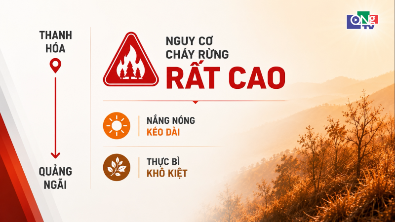 Quảng Ng&atilde;i nằm trong v&ugrave;ng b&aacute;o động đỏ ch&aacute;y rừng