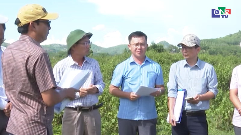 L&atilde;nh đạo tỉnh kiểm tra dự &aacute;n chỉnh trang đ&ocirc; thị 