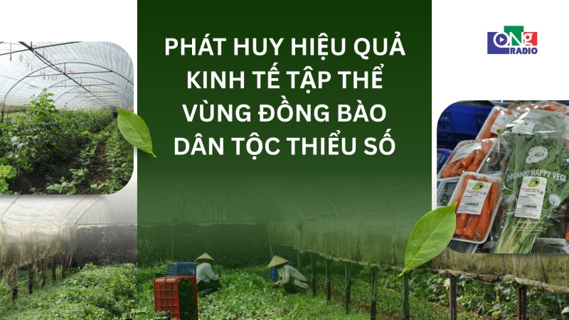 Ph&aacute;t huy hiệu quả kinh tế tập thể v&ugrave;ng đồng b&agrave;o d&acirc;n tộc thiểu số