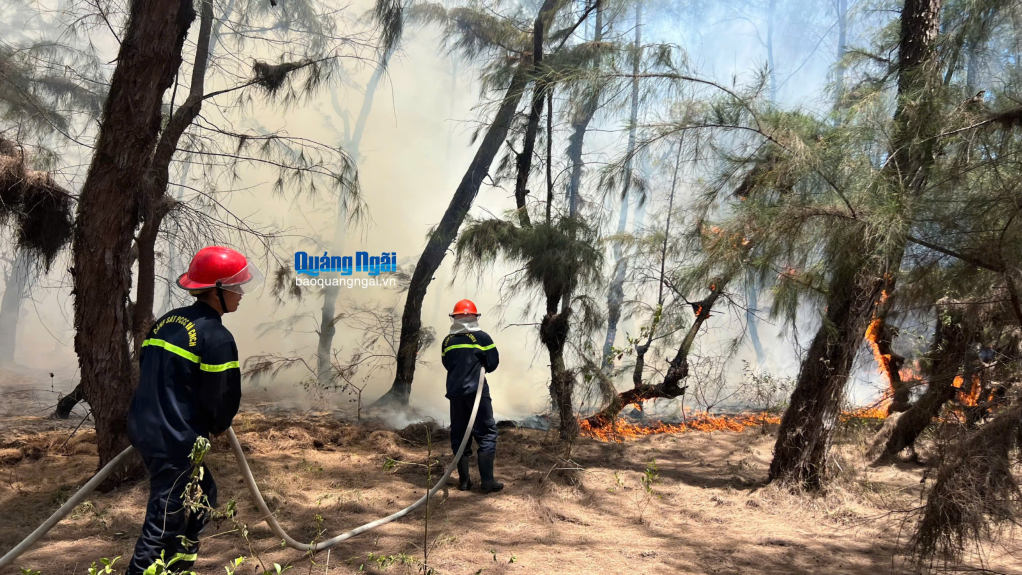 Lực lượng Cảnh sát Phòng cháy chữa cháy (Công an tỉnh) cũng nhanh chóng có mặt, bố trí người và phương tiện để khống chế đám cháy.