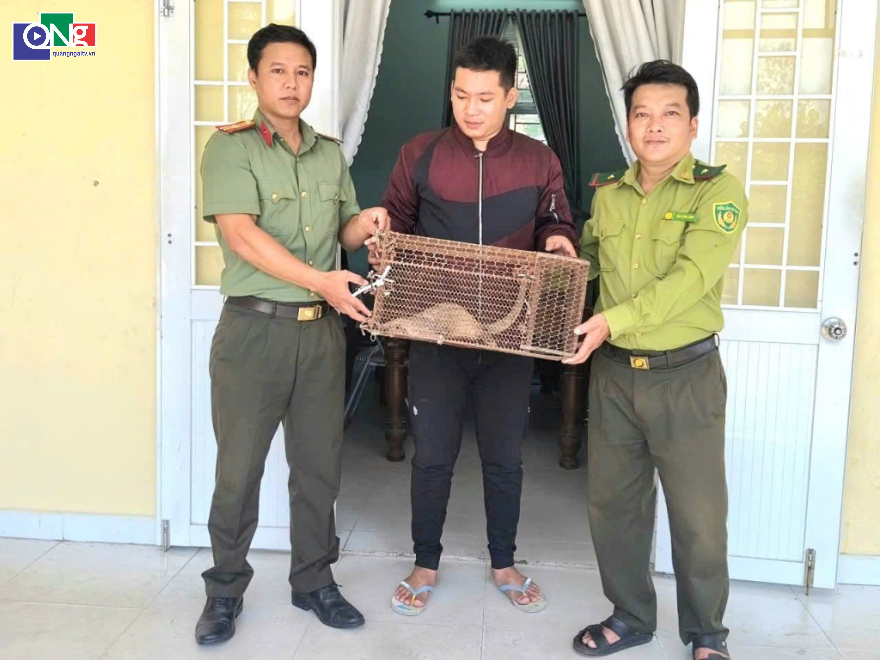 Cá thể tê tê được em Nguyễn Thanh Hiền (giữa) phát hiện và giao nộp cho công an và kiểm lâm. Ảnh: Công an xã Đông Trà Bồng