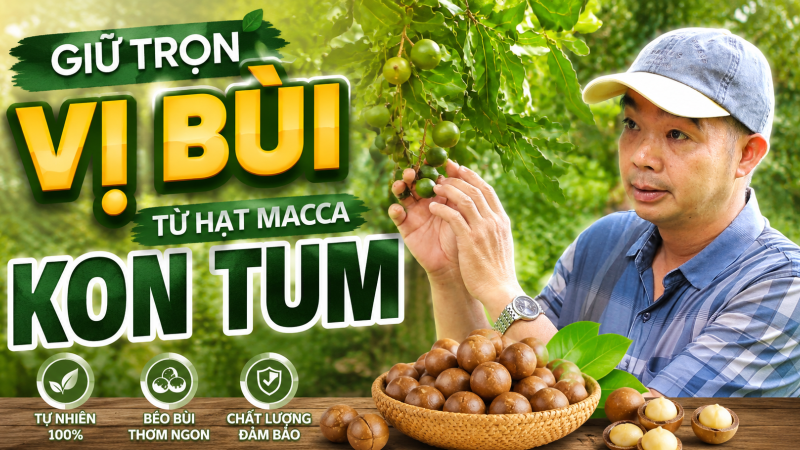 Giữ trọn vị b&ugrave;i từ hạt macca Kon Tum 