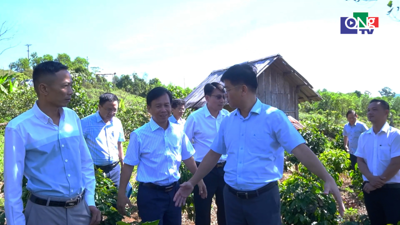 Kiểm tra c&aacute;c m&ocirc; h&igrave;nh n&ocirc;ng nghiệp tại x&atilde; Kon Pl&ocirc;ng