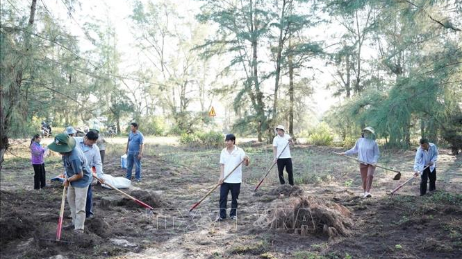Thu gom thảm mục ngăn nguy cơ ch&aacute;y rừng ph&ograve;ng hộ ven biển