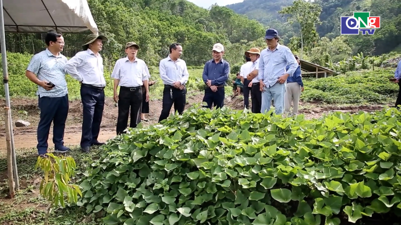 Sơn T&acirc;y Thượng ch&agrave;o mừng một năm vận h&agrave;nh ch&iacute;nh quyền địa phương 2 cấp