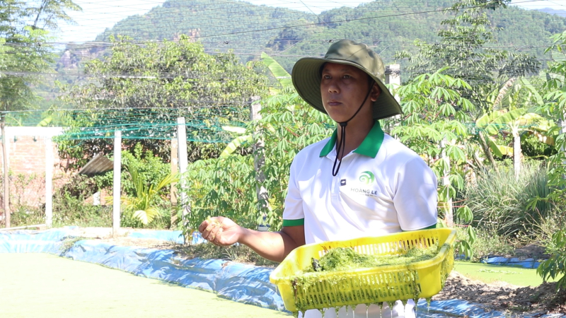 Đặc sản Ốc nhồi ống nứa chuẩn OCOP 3 sao