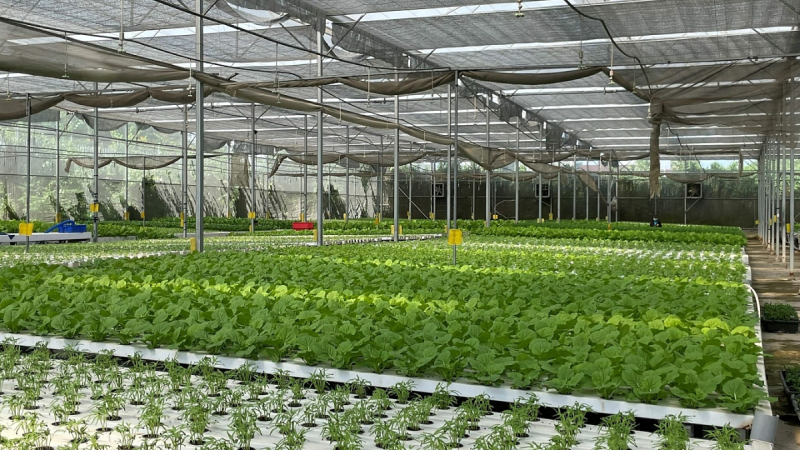 Hỗ trợ tối đa 70% vốn vay cho dự &aacute;n n&ocirc;ng nghiệp