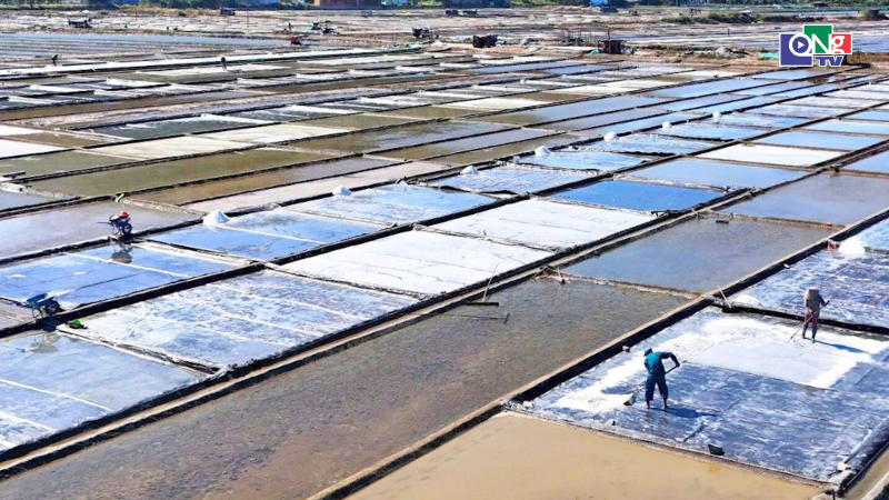 Sa Huỳnh bảo tồn nghề muối truyền thống gắn với ph&aacute;t triển du lịch cộng đồng 