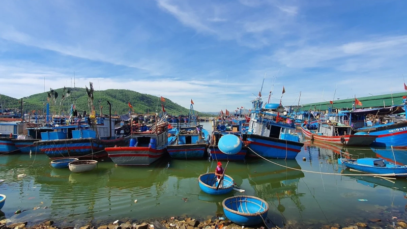 Hỗ trợ chuyển đổi nghề, giải bản t&agrave;u c&aacute; ngừng hoạt động