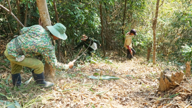 Chủ động ph&ograve;ng ch&aacute;y rừng trong cao điểm nắng n&oacute;ng
