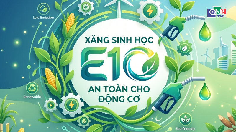 Xăng sinh học E10 an to&agrave;n cho động cơ