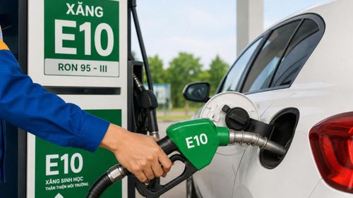 C&aacute;c h&atilde;ng xe đồng loạt c&ocirc;ng bố danh s&aacute;ch xe tương th&iacute;ch xăng E10