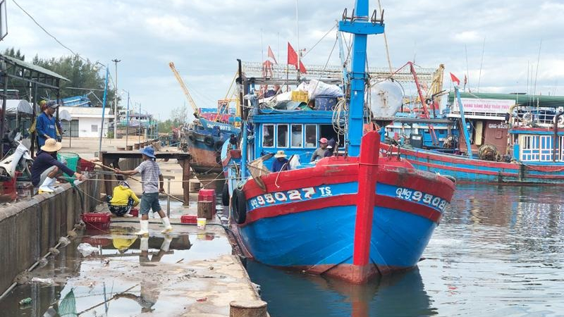 Chỉ định Cảng c&aacute; Sa Kỳ x&aacute;c nhận nguồn gốc thủy sản