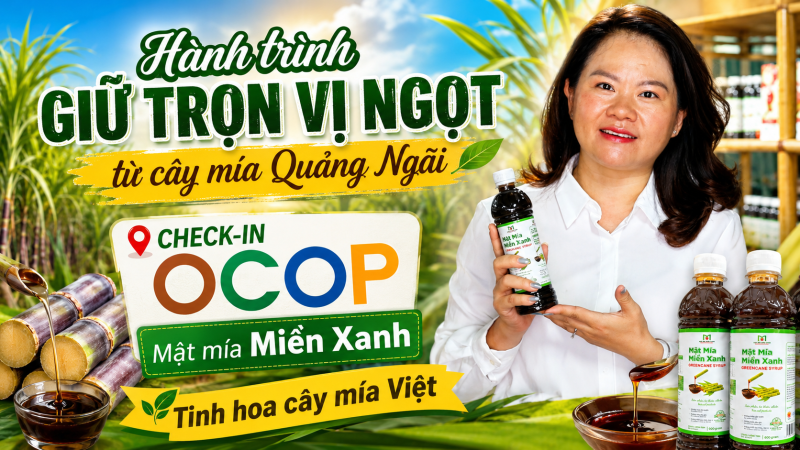 H&agrave;nh tr&igrave;nh giữ trọn vị ngọt từ c&acirc;y m&iacute;a Quảng Ng&atilde;i 