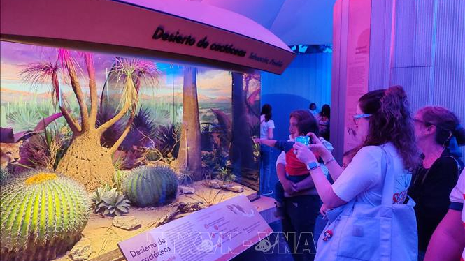 Kh&aacute;m ph&aacute; bảo t&agrave;ng lịch sử tự nhi&ecirc;n ở Mexico