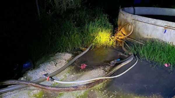 Ph&aacute;t hiện dấu hiệu xả thải tr&aacute;i ph&eacute;p từ trang trại chăn nu&ocirc;i