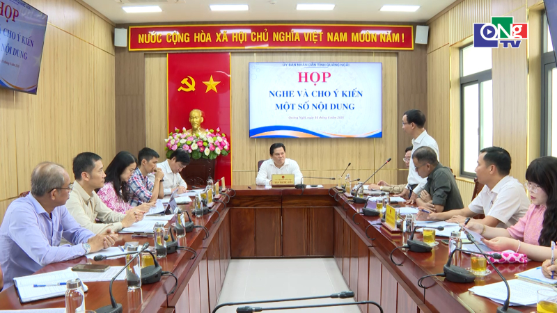 G&oacute;p &yacute; đề cương phim quảng b&aacute; x&uacute;c tiến đầu tư Quảng Ng&atilde;i