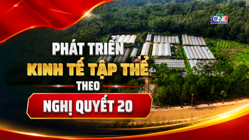 Ph&aacute;t triển kinh tế tập thể theo Nghị quyết 20
