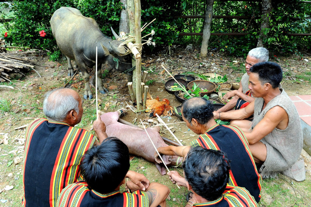 Vào những ngày đầu mùa mưa dân làng làm Lễ cúng gồm trâu, heo, gà.