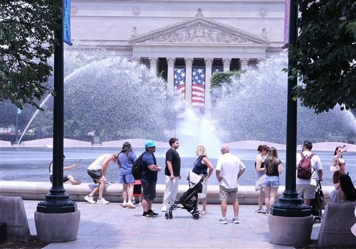 d0675e8612cdfb93a2dc,14195016.jpg