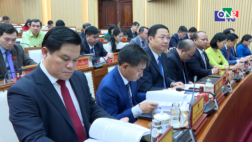 Các đại biểu HĐND dự kỳ họp.