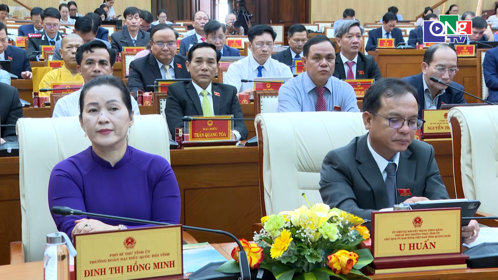 Các đại biểu HĐND dự kỳ họp.